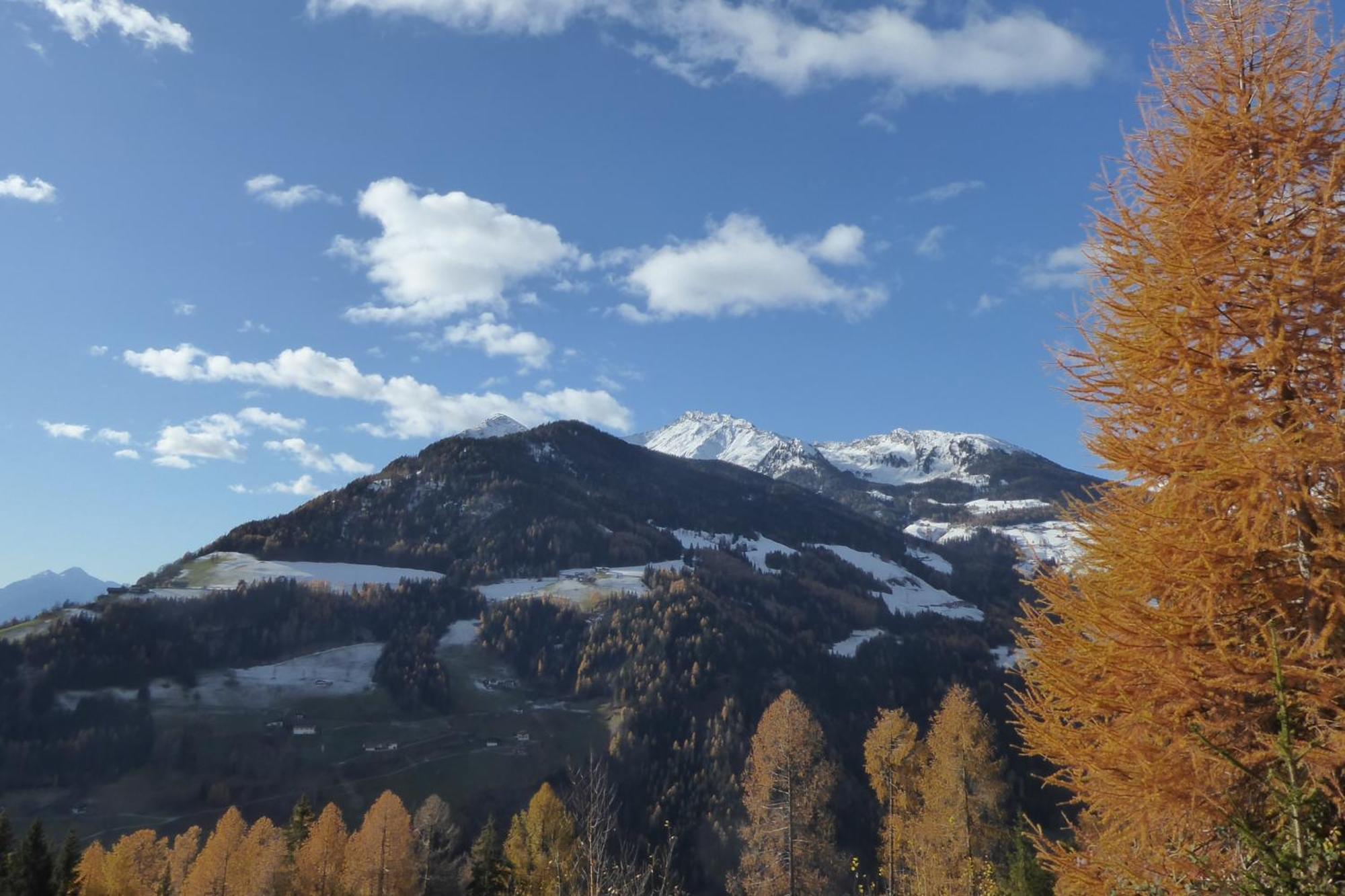 Chalet Incanto Terrace Val Dei Mocheni, Wifi Trentino Frassilongo エクステリア 写真